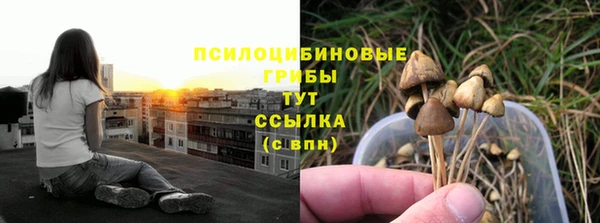 2c-b Михайловск