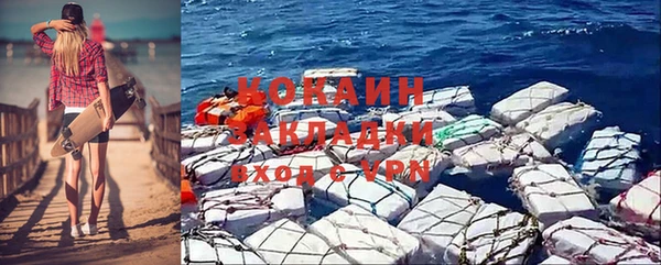 гидра Тайга