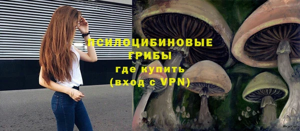 гашишное масло Дмитровск