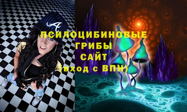 прущая мука Дмитров