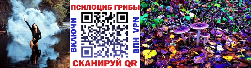 Псилоцибиновые грибы Psilocybe  Рошаль 